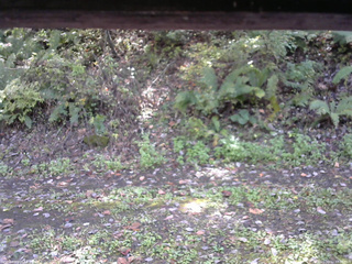 長野県菅平高原 ゆたか山荘 南側 2025/10/12 12:30