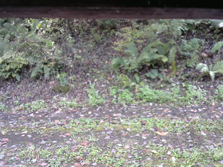 長野県菅平高原 ゆたか山荘 南側 2025/10/12 12:45