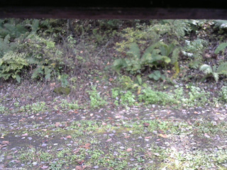 長野県菅平高原 ゆたか山荘 南側 2025/10/12 13:00