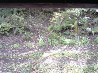 長野県菅平高原 ゆたか山荘 南側 2025/10/12 13:15