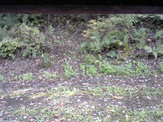 長野県菅平高原 ゆたか山荘 南側 2025/10/12 13:30