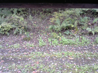 長野県菅平高原 ゆたか山荘 南側 2025/10/12 13:45