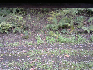 長野県菅平高原 ゆたか山荘 南側 2025/10/12 14:15