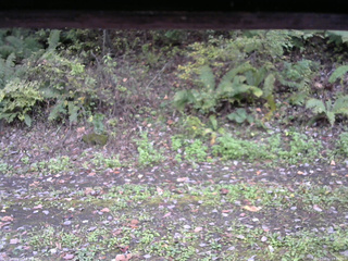 長野県菅平高原 ゆたか山荘 南側 2025/10/12 14:30