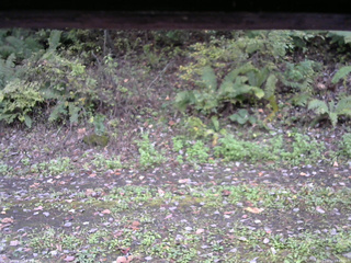 長野県菅平高原 ゆたか山荘 南側 2025/10/12 14:45