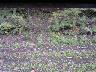 長野県菅平高原 ゆたか山荘 南側 2025/10/12 15:45