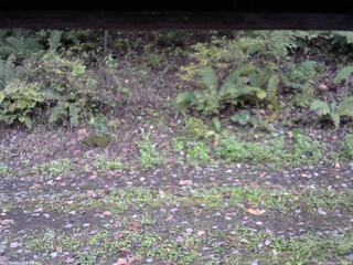 長野県菅平高原 ゆたか山荘 南側 2025/10/12 16:30