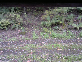 長野県菅平高原 ゆたか山荘 南側 2025/10/12 16:45