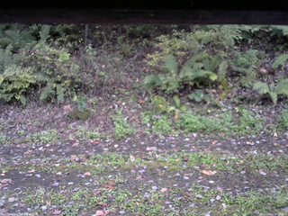 長野県菅平高原 ゆたか山荘 南側 2025/10/12 17:00