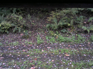 長野県菅平高原 ゆたか山荘 南側 2025/10/12 17:15