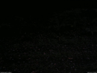 長野県菅平高原 ゆたか山荘 南側 2025/10/12 17:30