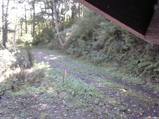 長野県菅平高原 ゆたか山荘 東側(坂下) 2025/10/12 09:15
