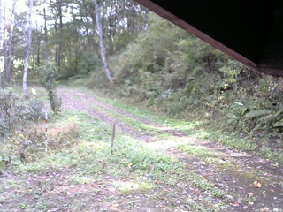 長野県菅平高原 ゆたか山荘 東側(坂下) 2025/10/12 12:45
