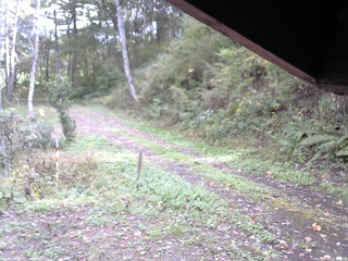 長野県菅平高原 ゆたか山荘 東側(坂下) 2025/10/12 13:15
