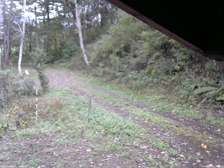 長野県菅平高原 ゆたか山荘 東側(坂下) 2025/10/12 14:45