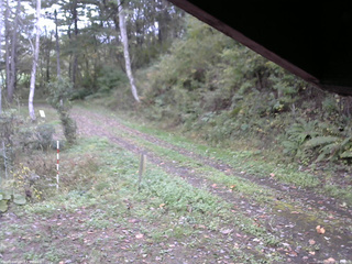 長野県菅平高原 ゆたか山荘 東側(坂下) 2025/10/12 15:00