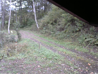 長野県菅平高原 ゆたか山荘 東側(坂下) 2025/10/12 15:30