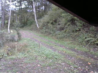 長野県菅平高原 ゆたか山荘 東側(坂下) 2025/10/12 15:45