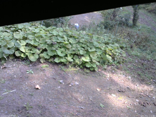 長野県菅平高原 ゆたか山荘 駐車場 2025/10/12 11:15