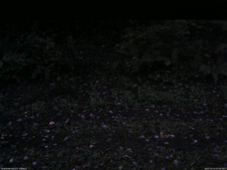 長野県菅平高原 ゆたか山荘 南側 2025/10/13 05:45