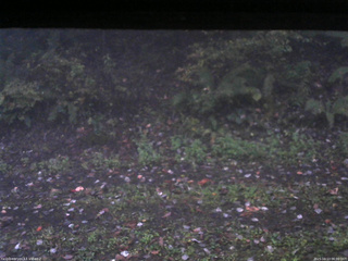 長野県菅平高原 ゆたか山荘 南側 2025/10/13 06:00