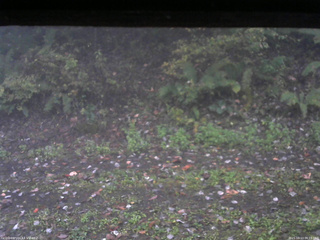 長野県菅平高原 ゆたか山荘 南側 2025/10/13 06:15