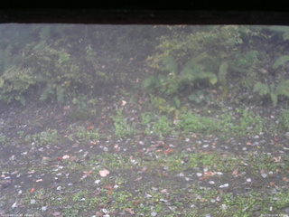 長野県菅平高原 ゆたか山荘 南側 2025/10/13 06:45