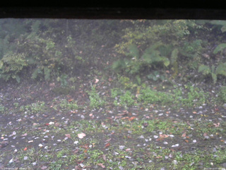 長野県菅平高原 ゆたか山荘 南側 2025/10/13 07:00