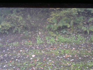 長野県菅平高原 ゆたか山荘 南側 2025/10/13 07:30