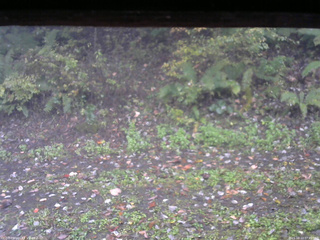 長野県菅平高原 ゆたか山荘 南側 2025/10/13 07:45