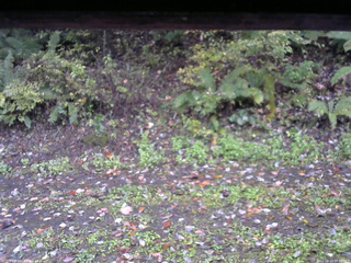 長野県菅平高原 ゆたか山荘 南側 2025/10/13 08:30