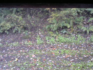 長野県菅平高原 ゆたか山荘 南側 2025/10/13 08:45