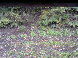 長野県菅平高原 ゆたか山荘 南側 2025/10/13 09:15