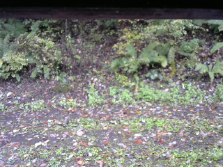 長野県菅平高原 ゆたか山荘 南側 2025/10/13 10:45