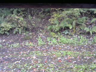 長野県菅平高原 ゆたか山荘 南側 2025/10/13 11:00