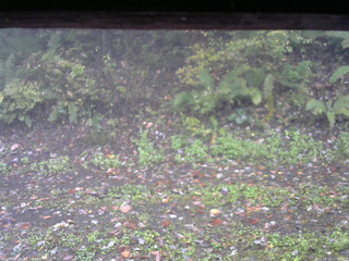 長野県菅平高原 ゆたか山荘 南側 2025/10/13 13:00