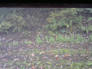 長野県菅平高原 ゆたか山荘 南側 2025/10/13 13:15