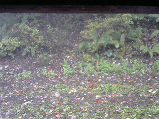 長野県菅平高原 ゆたか山荘 南側 2025/10/13 13:30