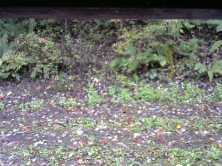 長野県菅平高原 ゆたか山荘 南側 2025/10/13 13:45