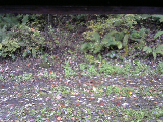 長野県菅平高原 ゆたか山荘 南側 2025/10/13 14:00