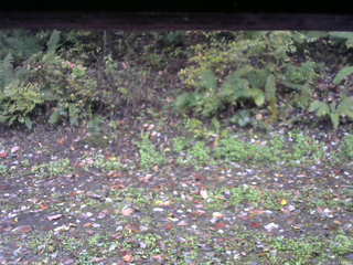 長野県菅平高原 ゆたか山荘 南側 2025/10/13 14:30