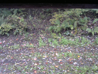 長野県菅平高原 ゆたか山荘 南側 2025/10/13 15:15