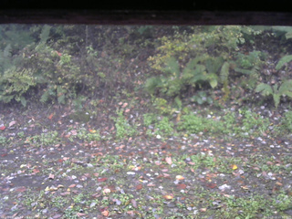 長野県菅平高原 ゆたか山荘 南側 2025/10/13 15:30