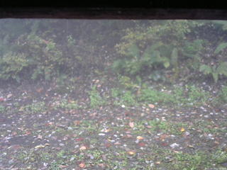 長野県菅平高原 ゆたか山荘 南側 2025/10/13 15:45