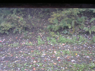 長野県菅平高原 ゆたか山荘 南側 2025/10/13 16:00