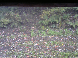 長野県菅平高原 ゆたか山荘 南側 2025/10/13 16:15