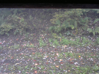 長野県菅平高原 ゆたか山荘 南側 2025/10/13 16:30