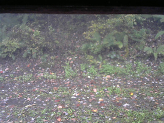 長野県菅平高原 ゆたか山荘 南側 2025/10/13 16:45