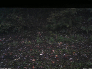 長野県菅平高原 ゆたか山荘 南側 2025/10/13 17:15