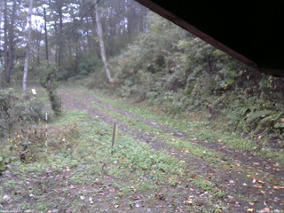 長野県菅平高原 ゆたか山荘 東側(坂下) 2025/10/13 08:30